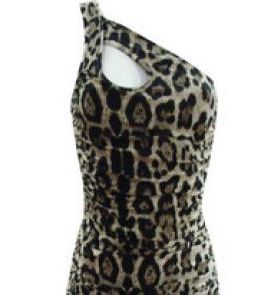 axparisanimalprintsdress