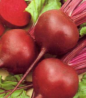 beetroot-1-7-2010