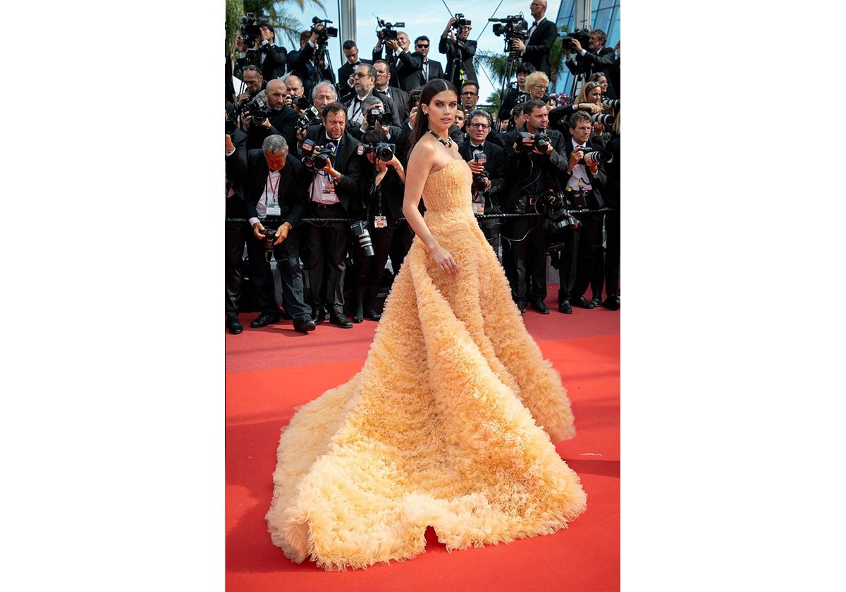 فساتين المشاهير في مهرجان كان السينمائي 2019 بعد قرار تاجيله هذا العام