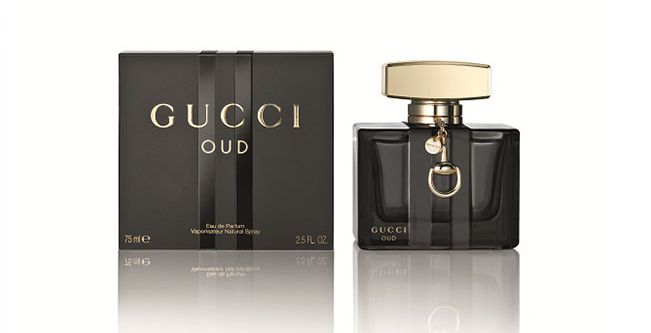 غوتشي عود الجديد