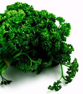 الخطوة الأولى: البقدونس