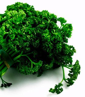 الخطوة الأولى: البقدونس