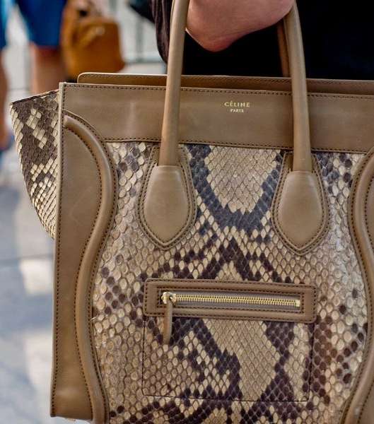 أجدد حقائب Celine