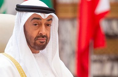 فيديو الشيخ محمد بن زايد مع الطفلة عائشة حديث مواقع التواصل الاجتماعي