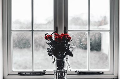 متى وكيف عليك إهداء الورود والأزهار؟