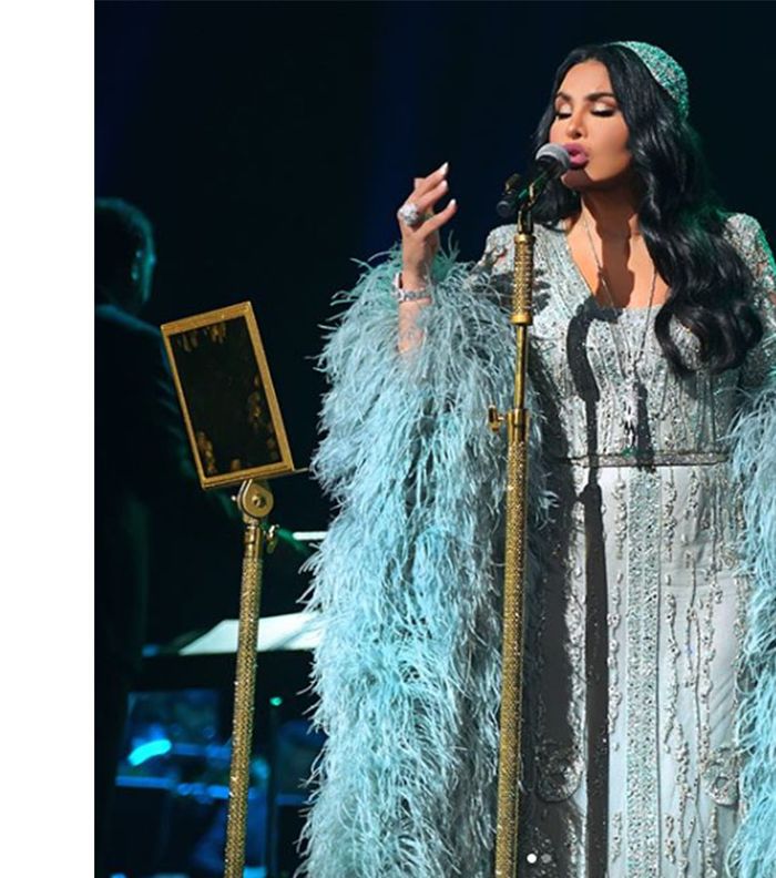 فساتين الفنانه احلام