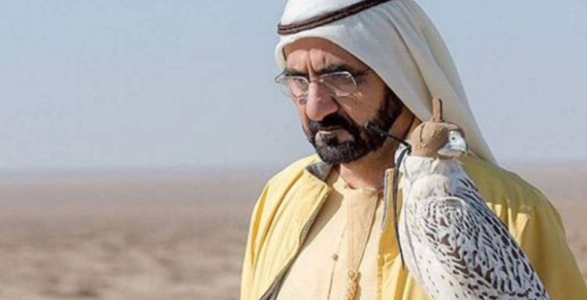 وثائقي قصتي عن الشيخ محمد بن راشد آل مكتوم