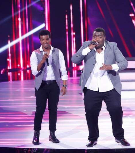 الفريق المصري 