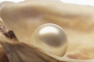 العثور على أقدم لؤلؤة في العالم