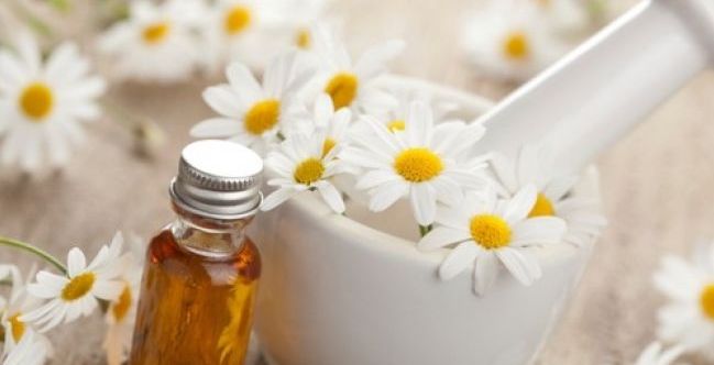 فوائد زيت البابونج للشعر 