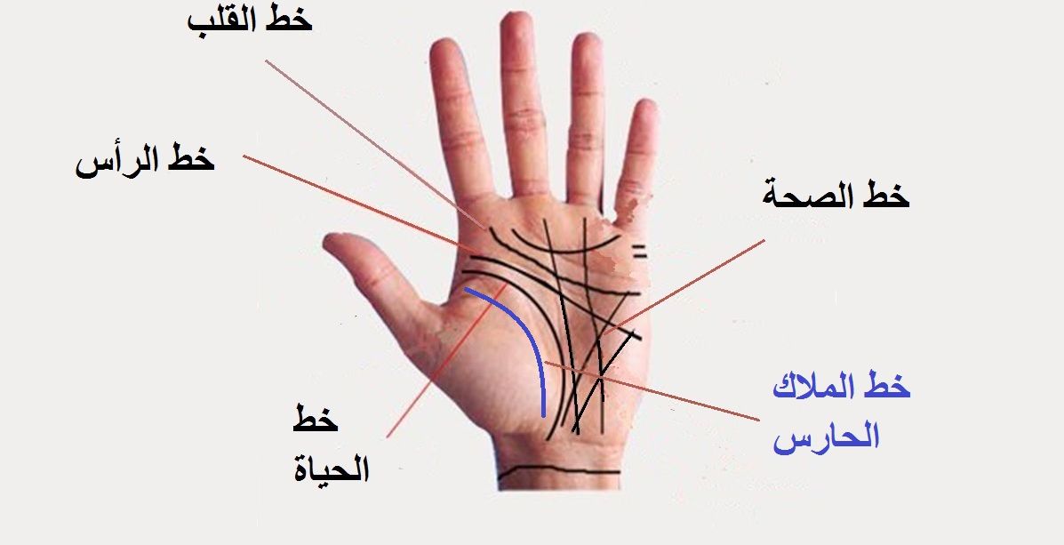 إذا كنت تملكين هذا الخط على كف يدك، فأمر رائع سيحصل لك!