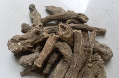 فوائد القسط الهندي للتنحيف