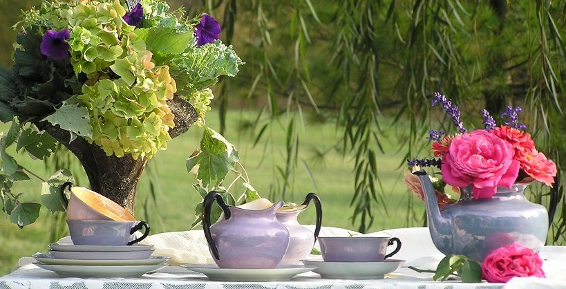 Pottery, Plant, Flower