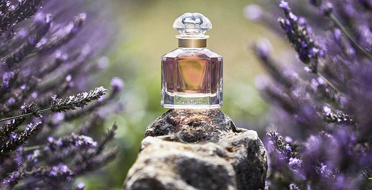 حكاية Mon Guerlain ونبتة الخزامى