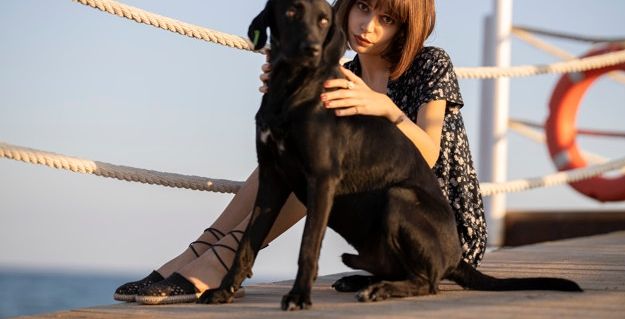 طريقة تفسير الكلب الاسود في المنام