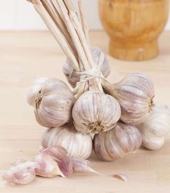 الثوم يقرّب الشريك منك وليس العكس!