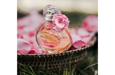 إليك عطر Izia المصمم بمناسبةالذكرة السنوية لدار Sisley