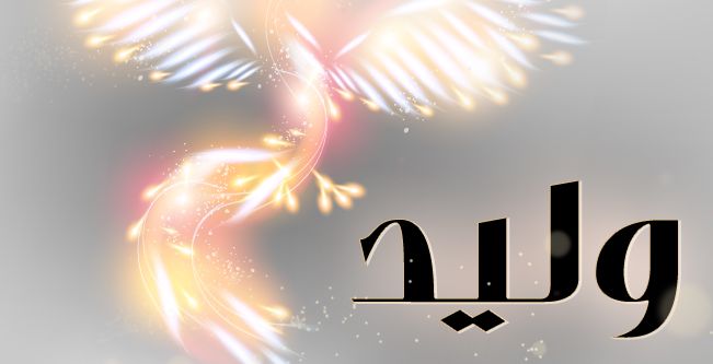 معاني وصفات اسم وليد
