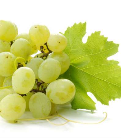 بذور العنب هي أبسط الطرق العنب التي تحافظ على نسبة رطوبة عالية في شعرك، وتعد علاجاً فعالاً لتقصّف الشعر في حال اجتمعت مع الأفوكادو وزيت الزيتون.