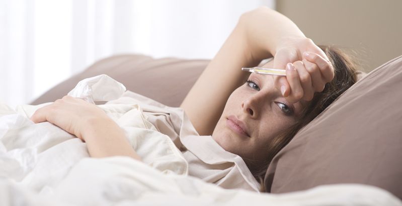 معلومات عن الحمى المالطية