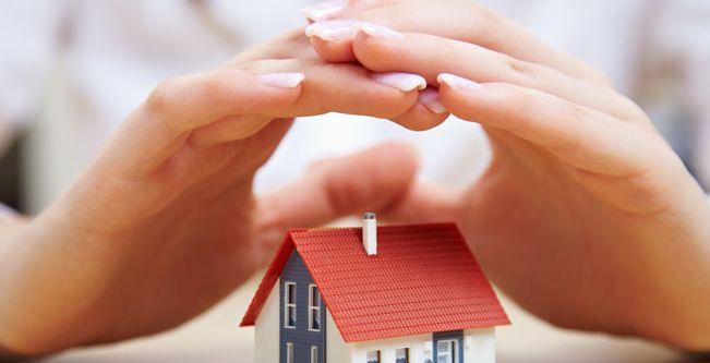 البكتيريا المنزلية