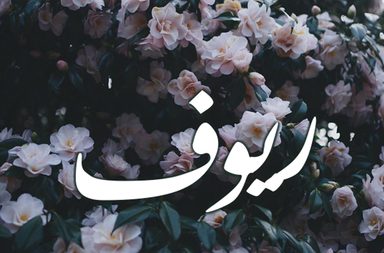 تحليل شخصية اسم ريوف 