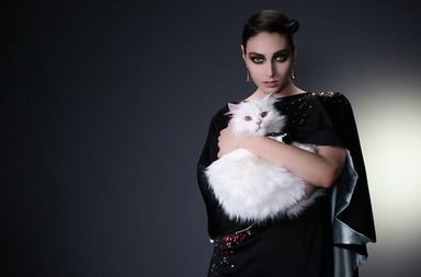 Clothing, Apparel, Dress